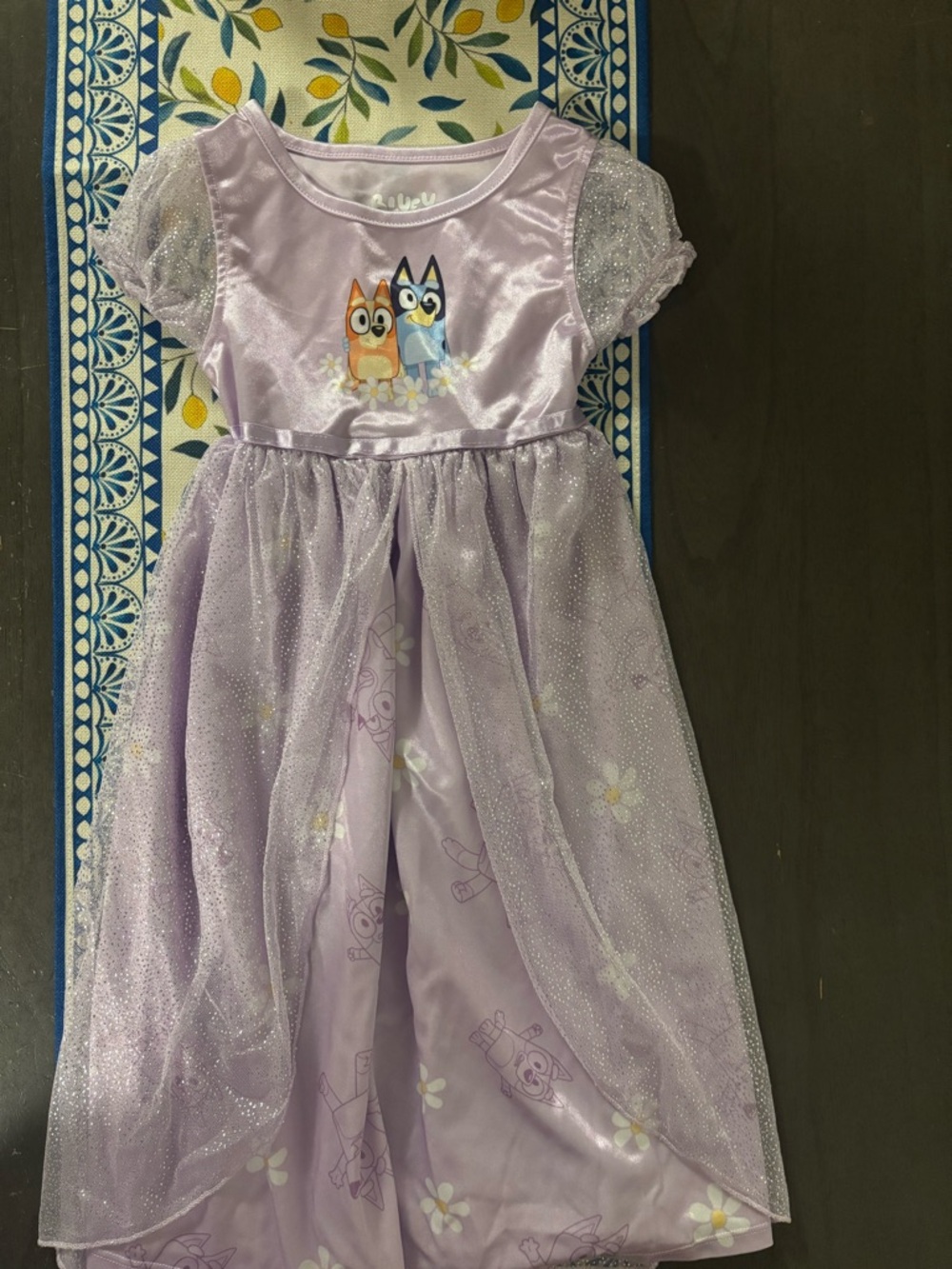 Toddler Girl Bluey Nightgowns size 3t